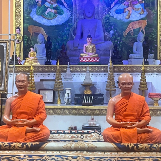 Chân Dung Hoà Thượng 